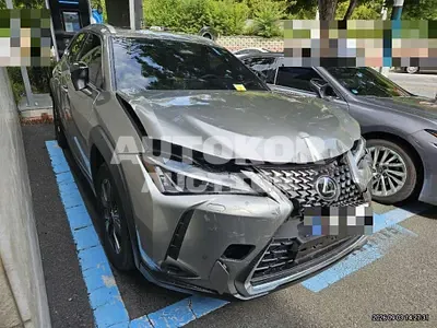2026, Lexus / ux300h, 751 км., hybrid