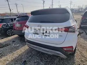 2019, Hyundai / Santa FE, VIN: KMHS381ADLU216986, 50000 км., gas, 2000 куб.см.