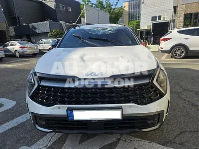 2022, Kia / Sportage, VIN: KNAPV81BGNK047696, 38178 км., gas, 1598 куб.см.