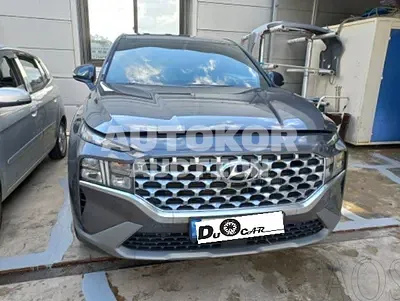 2021, Hyundai / Santa FE, VIN: KMHS281HGMU369156, 48011 км., diesel