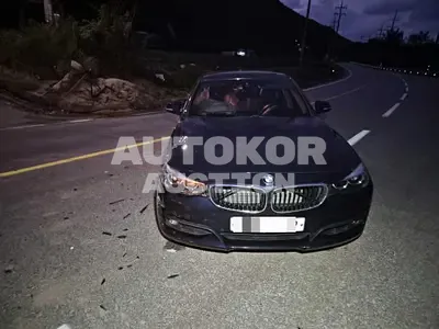 2017, BMW / 320, 150985 км., diesel