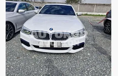 2020, BMW / 520, 167015 км., diesel, 1998 куб.см.