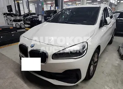 2019, BMW / 2 Series Gran Tourer, VIN: WBA6T9108KVE95395, diesel