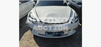 2020, Tesla / Model 3, 110000 км., electric, 225 куб.см.