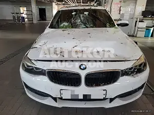 2017, BMW / 320, VIN: WBA8T3105HG799641, 69469 км., diesel