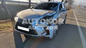 2019, Lexus / NX 300, VIN: JTJDJRDZ5L2128686, hybrid