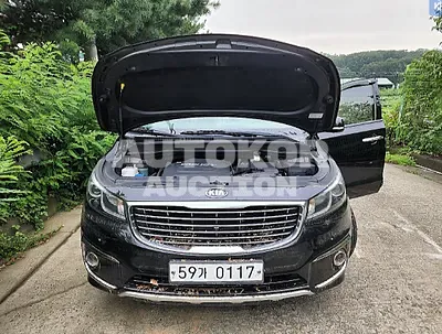 2017, Kia / Carnival, VIN: KNAME81ABHS293618, diesel, 2199 куб.см.