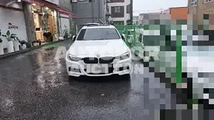 2018, BMW / 320, 62111 км., gas
