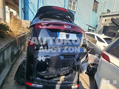 2023, Kia / Carnival, VIN: KNANC81BBPS291383, 130256 км., diesel, 2200 куб.см.
