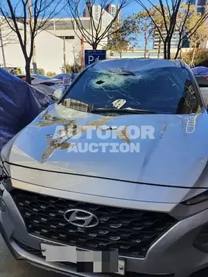 2019, Hyundai / Santa FE, VIN: KMHS281BBKU136490, diesel