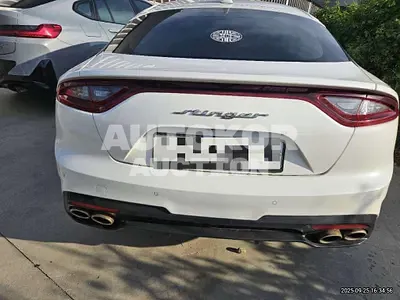 2019, Kia / Stinger, 62753 км., gas, 2000 куб.см.