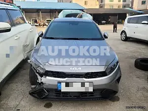 2022, BMW / Z1, VIN: KNAF141BEPA952229, gas