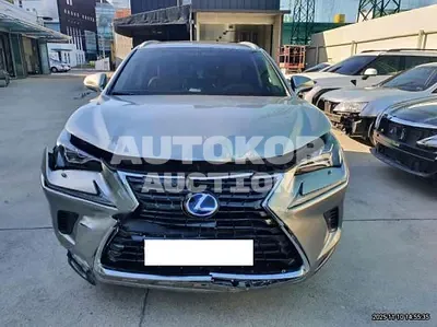 2018, Lexus / nx300h, 112596 км., hybrid