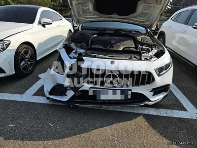 2019, Mercedes-Benz / CLS 450, 55609 км., gas