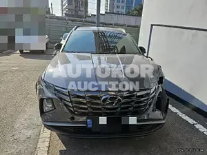 2021, Hyundai / Tucson, VIN: KMHJC811BMU016143, 500000 км., hybrid