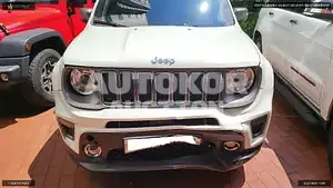 2019, Jeep / Renegade, VIN: 1C4BU0000KPK58621, gas