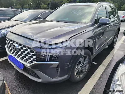 2021, Hyundai / Santa FE, VIN: KMHS381LGMU377125, 25958 км., diesel