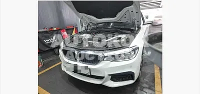2019, BMW / 520, 106061 км., diesel, 1995 куб.см.