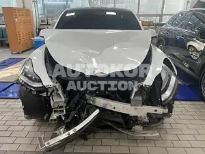 2022, Tesla / Model Y, VIN: 7SAYGDEE3NF495672, 20000 км., electric