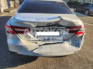 2019, Toyota / Camry, VIN: JTNB21HK9K3046194, hybrid
