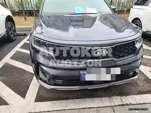 2020, Kia / Sorento, VIN: KNARK81GBMA012344, 65273 км., hybrid