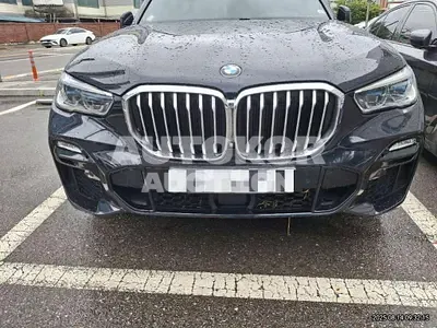 2019, BMW / 530, 257017 км., diesel