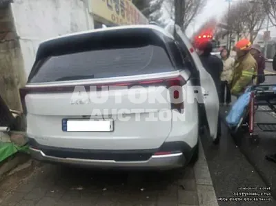 2021, Kia / Carnival, VIN: KNANB81BBSS534046, gas