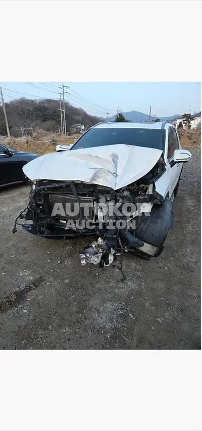 2019, Hyundai / Palisade, VIN: KMHR381ABKU061856, 150000 км., diesel, 2200 куб.см.