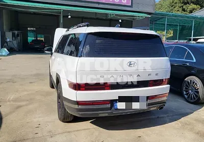 2024, Hyundai / Santa FE, 10000 км., gas