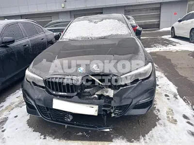 2019, BMW / 330, VIN: WBA5R310XKAE82257, gas
