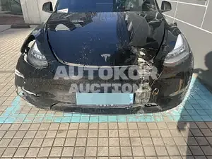 2021, Tesla / Model Y, VIN: 5YJYGDEE8MF225977, electric