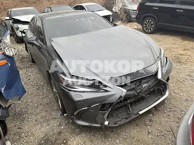 2022, Lexus / es300h, VIN: JTHBA1C13N2011116, hybrid