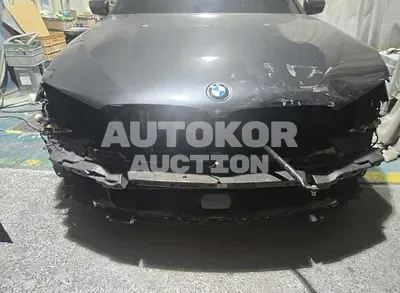 2017, BMW / 520, diesel