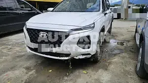 2018, Hyundai / Santa FE, diesel