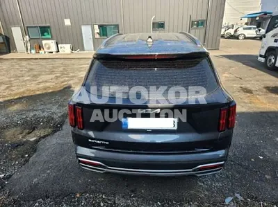2023, Kia / Sorento, VIN: KNARG81BGPA226028, diesel, 2200 куб.см.