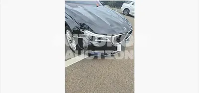 2016, BMW / 730, 256386 км., diesel, 2993 куб.см.
