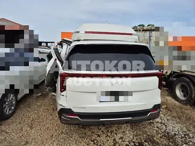 2024, Kia / Carnival, gas