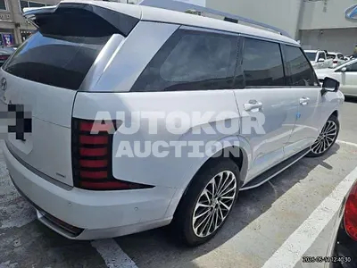 2025, Hyundai / Palisade, 20000 км., hybrid, 2500 куб.см.