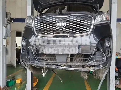 2019, Kia / Sorento, VIN: KNAPG81ABKA527302, diesel