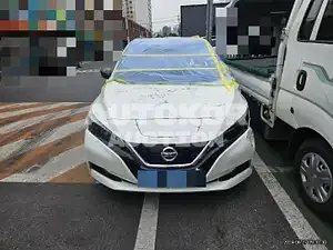 2019, Nissan / Leaf, 99417 км., electric