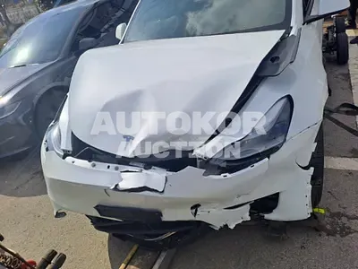 2023, Tesla / Model Y, electric