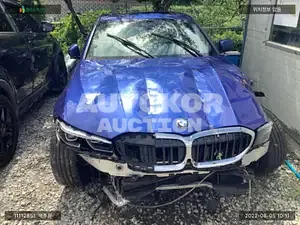 2019, BMW / 320, VIN: WBA5V5100KAJ56147, diesel