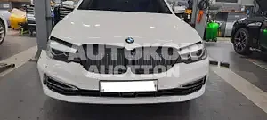 2019, BMW / 520, VIN: WBAJK7100KBP73531, gas