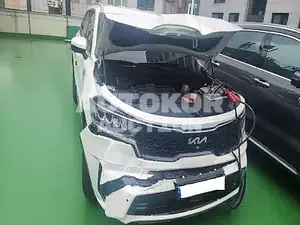 2022, Kia / Sorento, VIN: KNARK81GBNA109409, hybrid