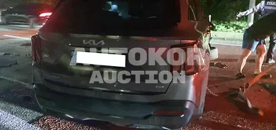 2024, Kia / Sorento, VIN: KNARH81BHRA302698, diesel