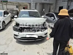 2019, Volkswagen / Tiguan, VIN: WVGZZZ5NZLW816281, diesel