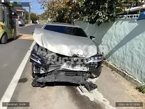 2019, Lexus / ES 300, VIN: JTHB21B19K2022504, hybrid