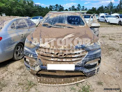 2017, Hyundai / Santa FE, VIN: KMHSW81UBHU729250, diesel