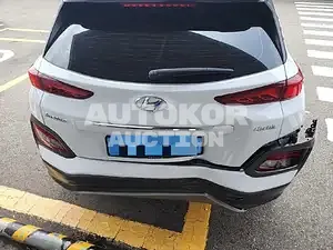 2019, Hyundai / Kona, 110000 км., electric, 162 куб.см.