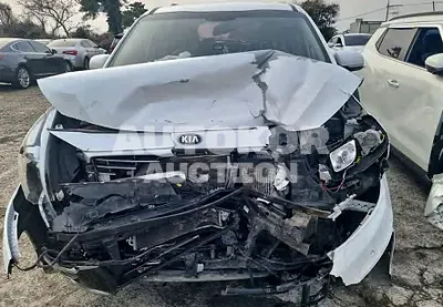 2017, Kia / Carnival, VIN: KNAMB81ABHS335855, diesel